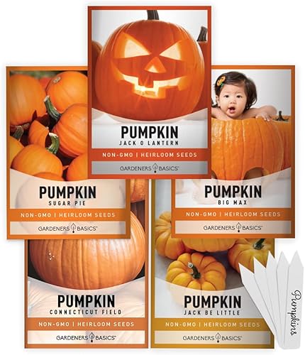 Miniatura 1 de Semillas de calabaza para plantar, 5 variedades de Baby Boo, Giant Big Max, Jack Be Little, Jack O Lantern, Pastel de azúcar, ideal para semillas de