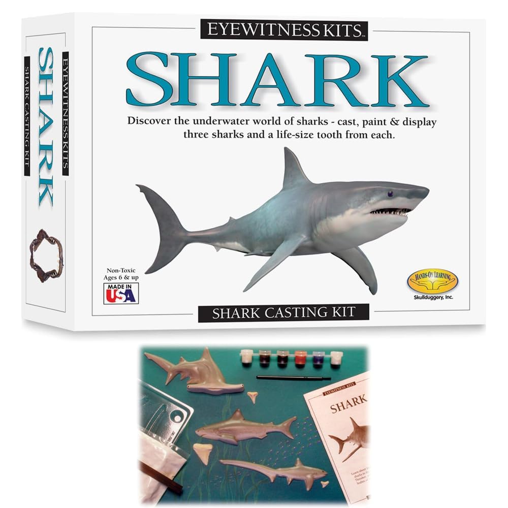 - Eyewitness Kits Shark Arts & Crafts Kit for Kids, Fish Magnets, Cast, Paint, Display and Learn, Fun Educational Gift for Boys & Girls, Ages 6+
