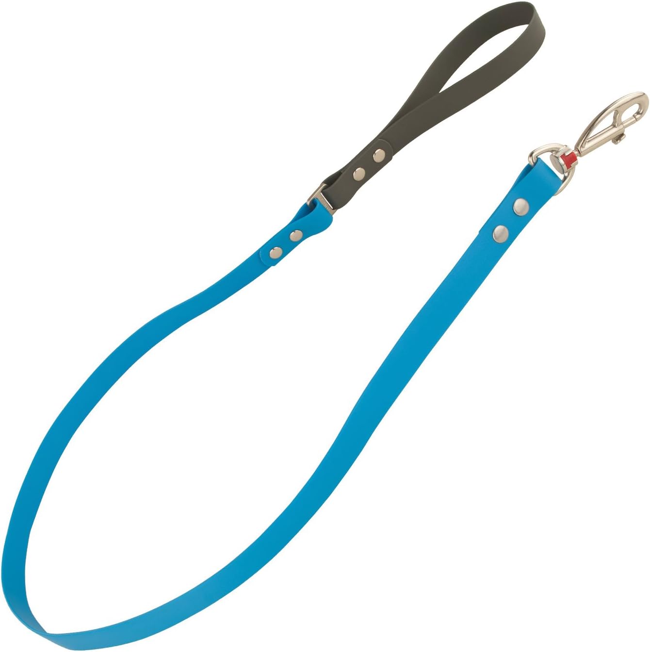 Red Dingo Vivid PVC Plastic Turquoise Dog Lead, L