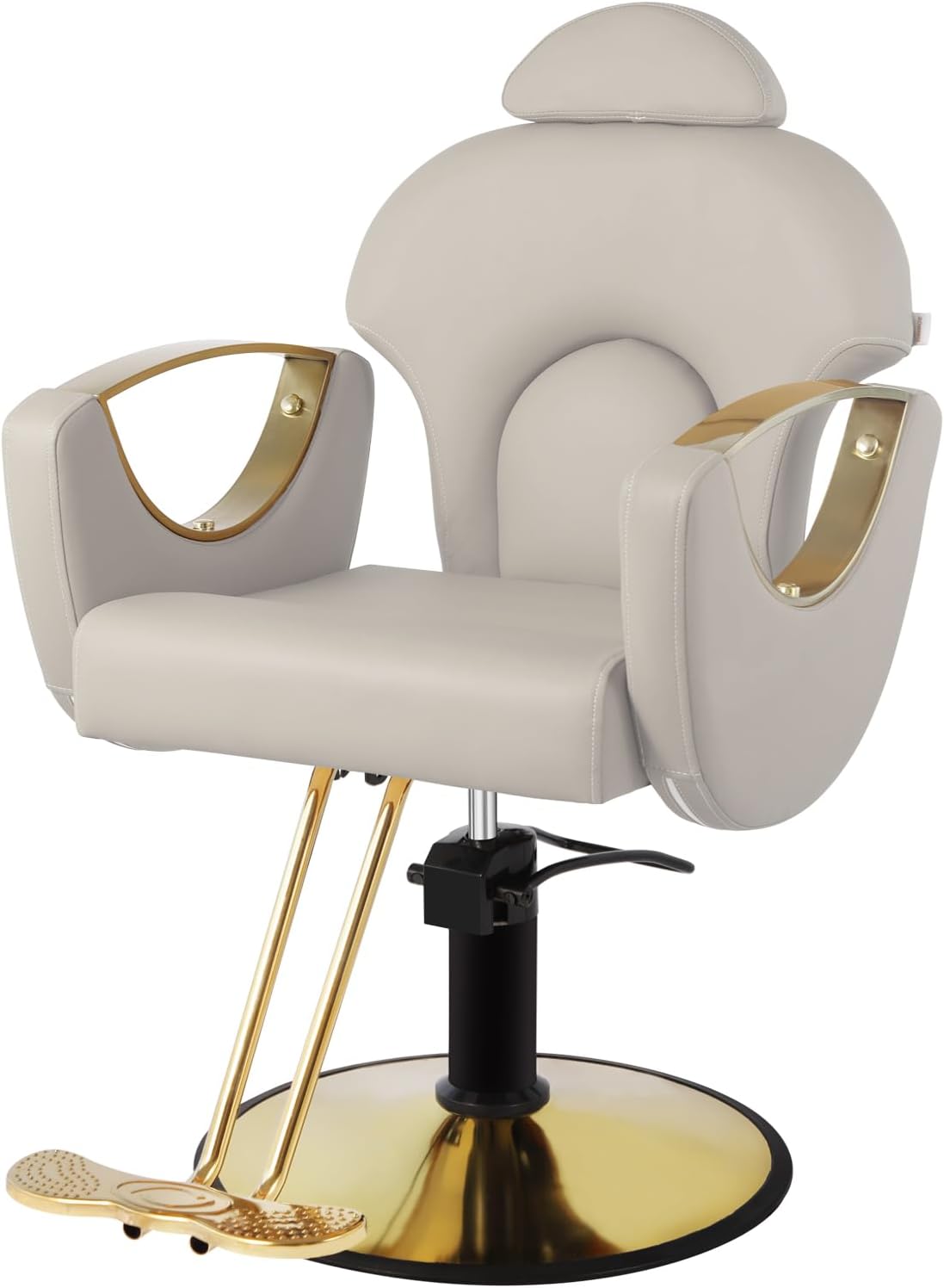 Salon Chair, Reclining Salon Chair for Hair Stylist, Hair Styling Chair with Heavy Duty Hydraulic Pump, 360 Degrees Swivel, Barber Chair Braiding Chair for Braider, Taupe
