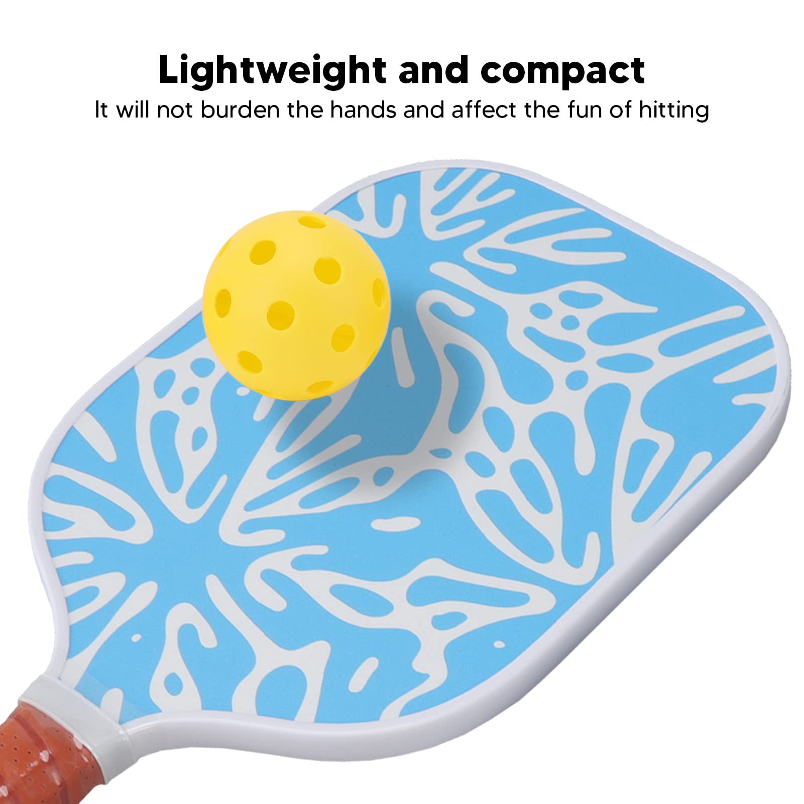 Juego de Pickleball al Aire Libre, Raquetas de Pickleball de Fibra de Vidrio, Juego de Bolas de Paleta de Pickleball portátil, Juego de Bolas de Raquetas de Pickleball al
