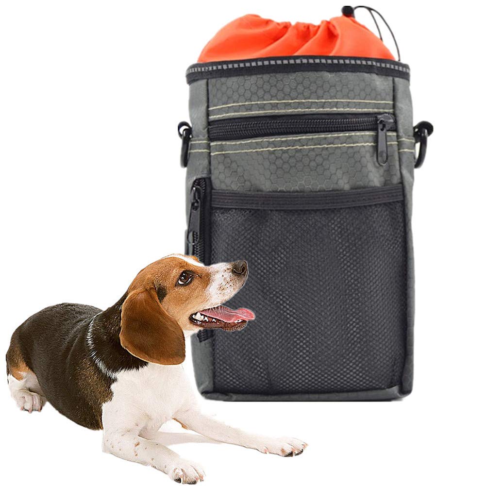 Hken met je hond: het platform voor nsprate en deeën voor wandelen
