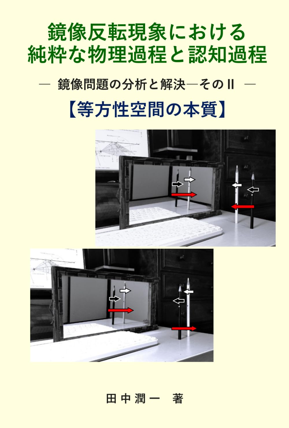 鏡像反転現象における 純粋な物理過程と認知過程: 鏡像問題の分析と解決―その二