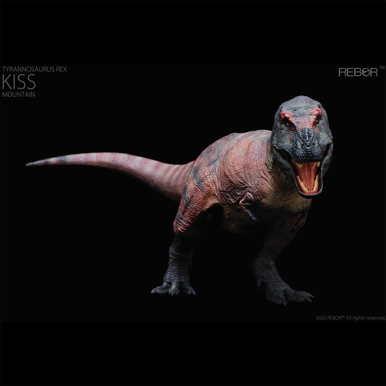Amazon | Rebor 1/35 サイズ ティラノサウルス 恐竜 フィギュア