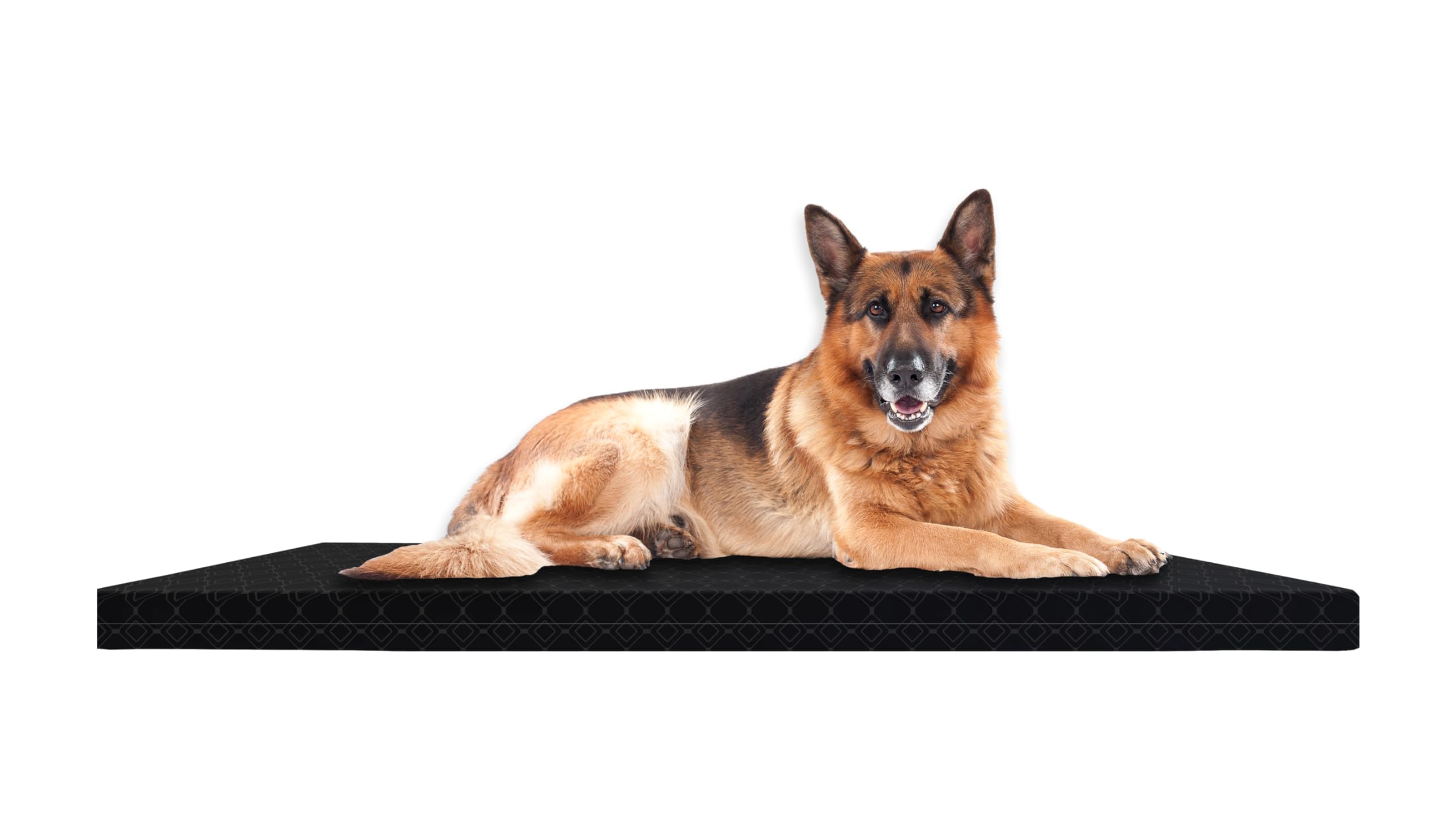 SAPPHIRE Dog Bed, Waterproof Orthopedic Mattress for Dog Crate, Soft Bed with Washable Cover, Dog Mat FR Approved (Black, Small 52 x 77 x 5.5 CM)