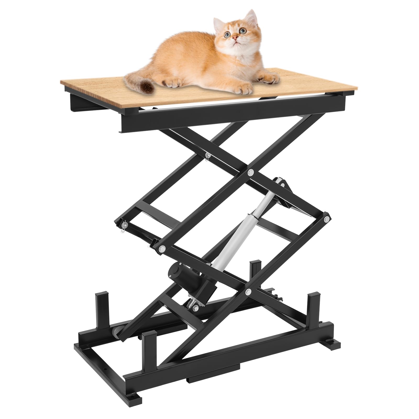 Sollevatore elettrico 24 V, altezza regolabile, fino a 63,5 kg