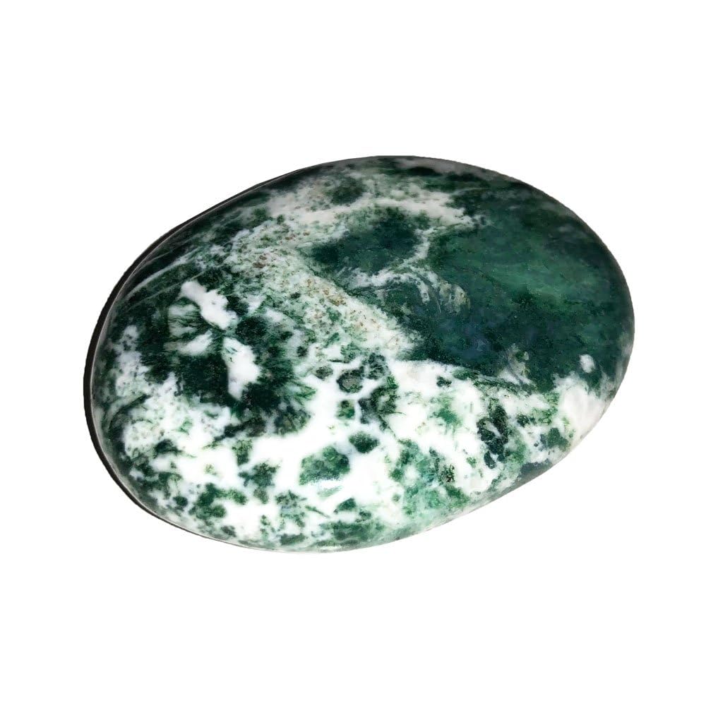 Galets Agate Arbre de 500g pour la lithothérapie et décoration - 4