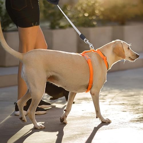 Miniatura 4 de Correa retráctil para perro, correa para caminar para perros, correa telescópica de tracción para correr, trotar, senderismo, 4.6 ft (negro)