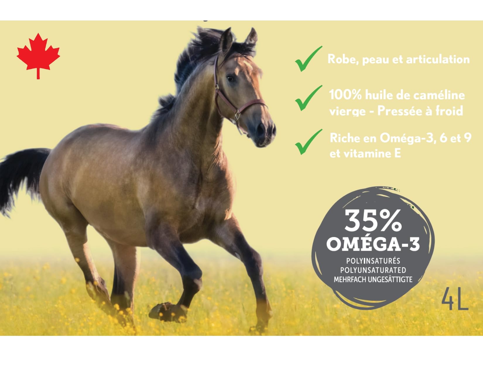 Ferme Oliméga, Huile de Caméline pour Chevaux 4L, Riche en oméga-3 polyinsaturés, Vitamine E, Pure et Pressée à Froid. Articulation Produit du Canada.