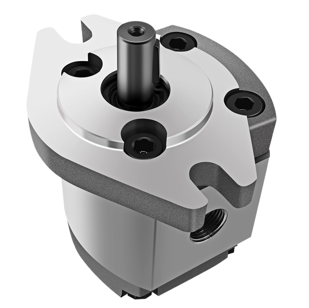 Pompa a Ingranaggi ad Alta Pressione HGP-1A-F6RPompa a Ingranaggi idraulica HGP-1A-F4R/F2R/F8R/F1R/F5R/F3R YIJIAN (Color : HGP-1A-F6R)