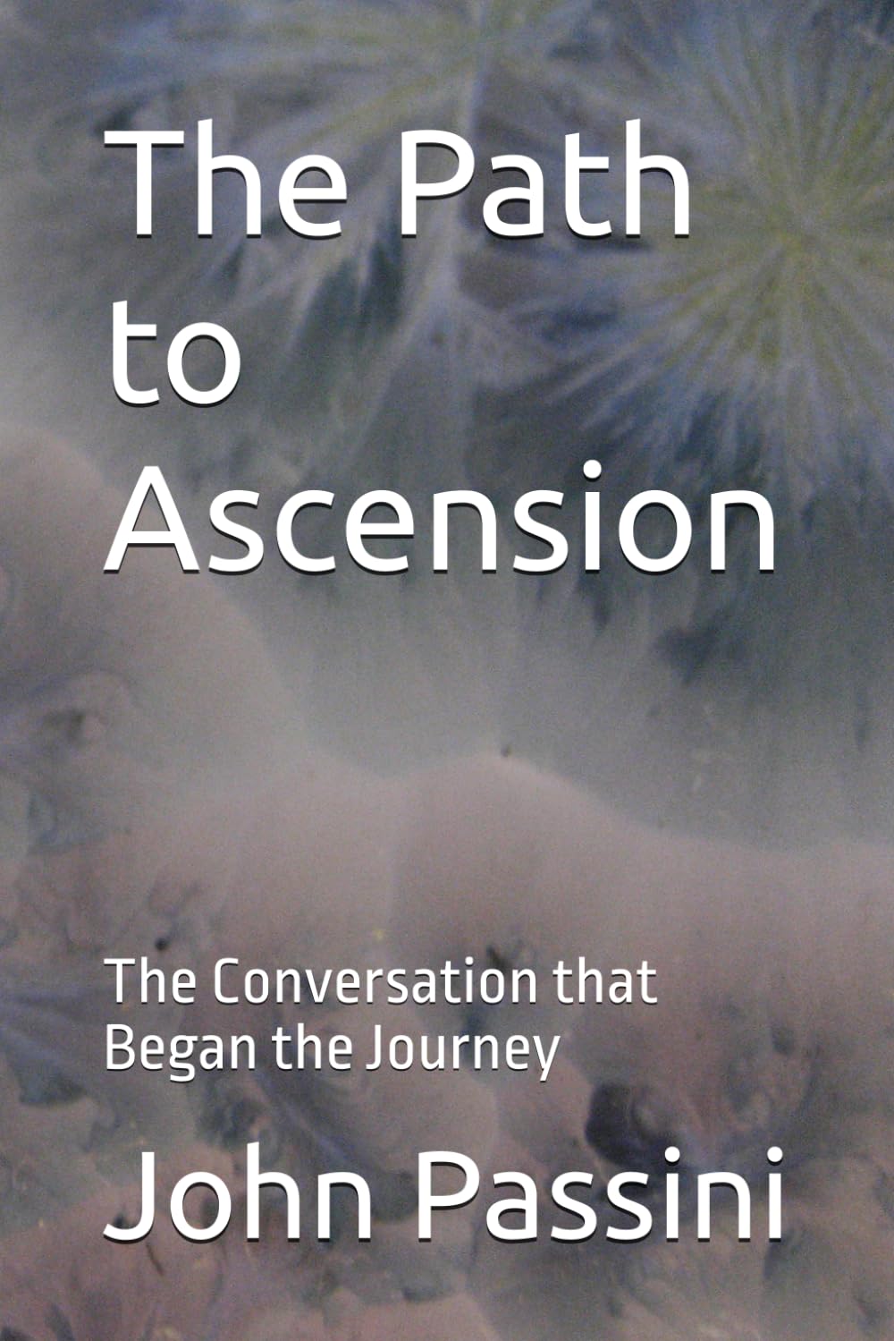 The Path to Ascension: The Conversation that Began the Journey