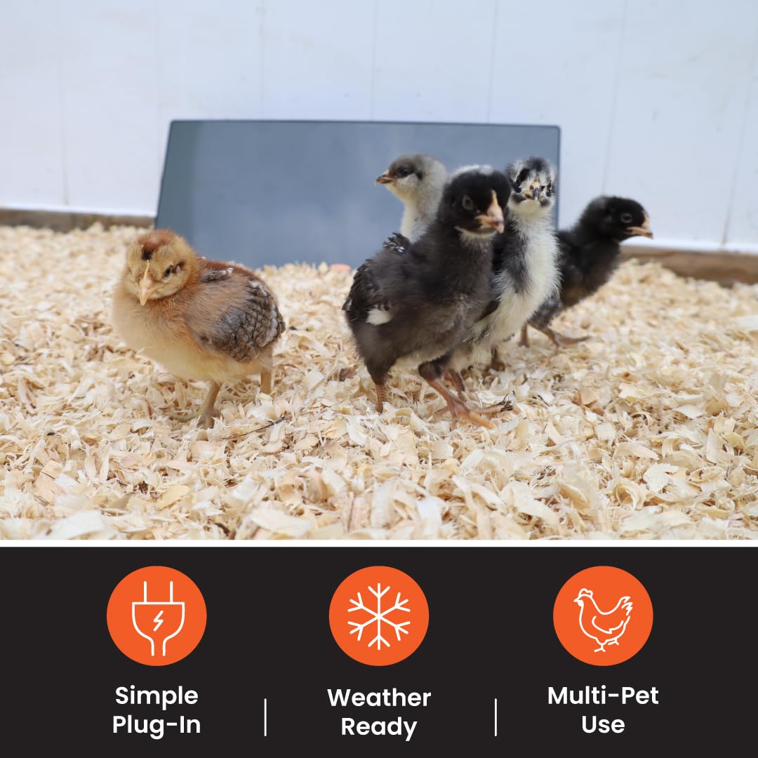 Cozy Products Cozy Coop Chicken Coop Heater Flat-Panel 150 Watts | Wall Mount or Free Standing Electric 150 Watts Safer Than Heat Lamps Warms Inside Chicken Coops Flat Panel 2 Inches Deep product thumbnail 6