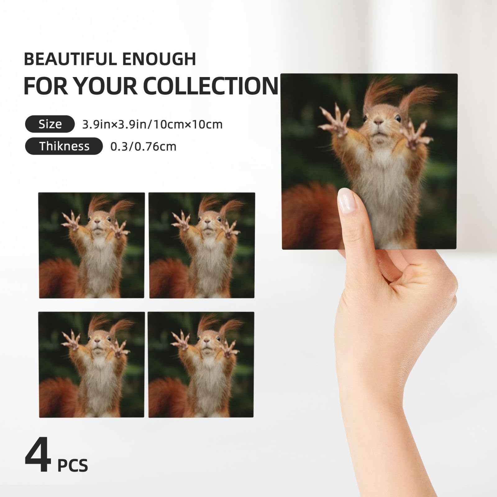 Set di 4 sottobicchieri in ceramica con stampa di scoiattolo divertente con animali