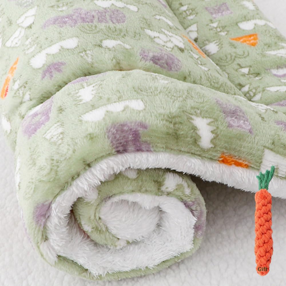 FANSU Comfy Dog Bed Mat Flannel Cashmere Cats Beds Pad Warm Self Heating Pet Pad Plush Blanket for Puppy Kitten Washable Reversible for Indoor Outdoor Car (89x68cm,Green Forest)