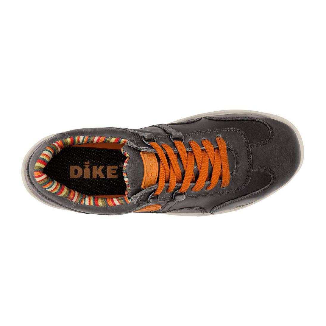 Dike