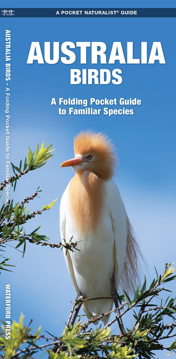 Australia Birds: A Folding Pocket Guide to Familiar Species (Nature Observation International)