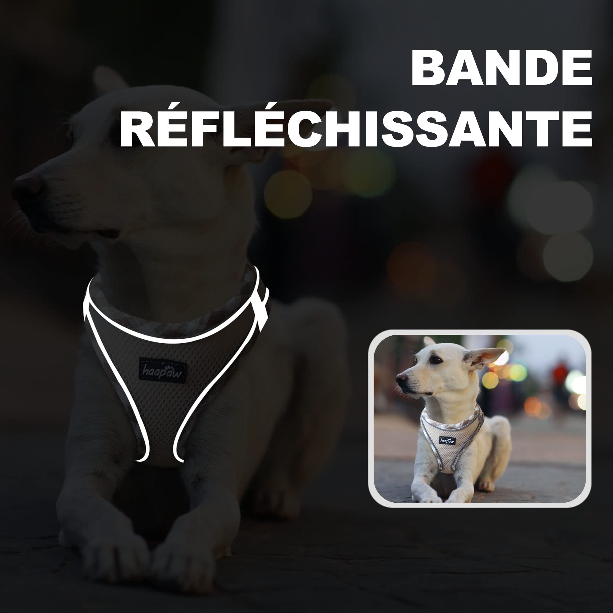 haapaw Ensemble Harnais et Laisse pour Chien - Harnais réglable et réfléchissant avec Gilet rembourré épais pour Chiens de Taille XS et Moyenne