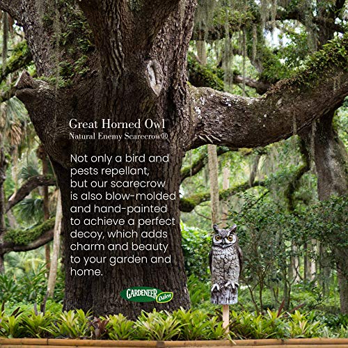 Dalen Natural Enemy Scarecrow Great Horned Owl, Chemical-Free pest Control, Safe and Humane, Protect Gardens, Fruit and Vegetables from Birds and Other pests, 16" - Thumbnail 5