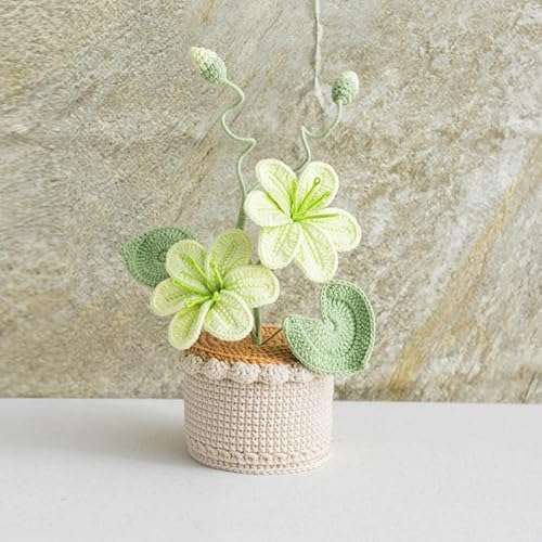  ԑ ҂݃E[̂Ђ܂聕A AȐlHou[P x[W|bg E[t[AWg ItBX/p[eB[p AȃfXNZ^[s[Xi炵؁j