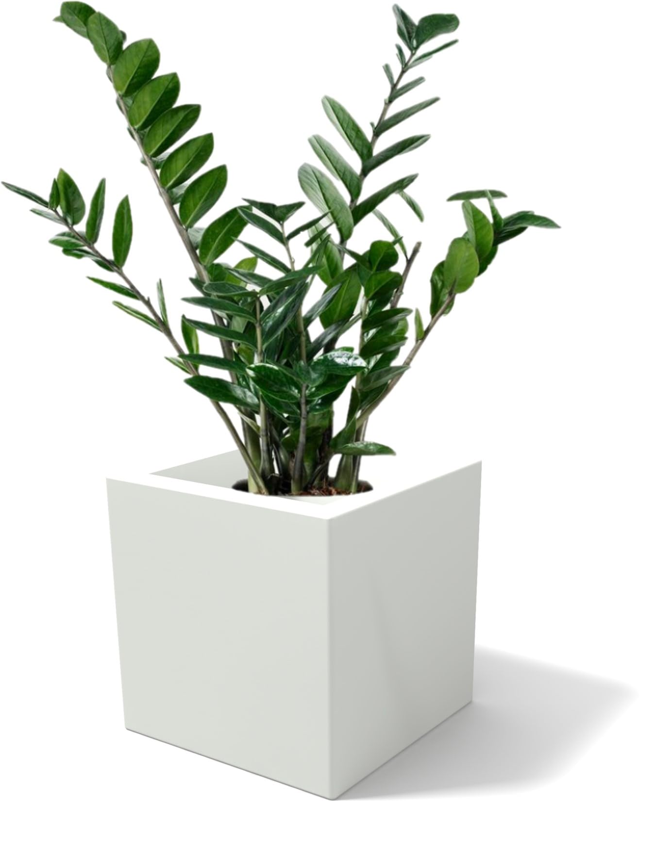 Kloris Planter, Polyethylene (PE), White, 30