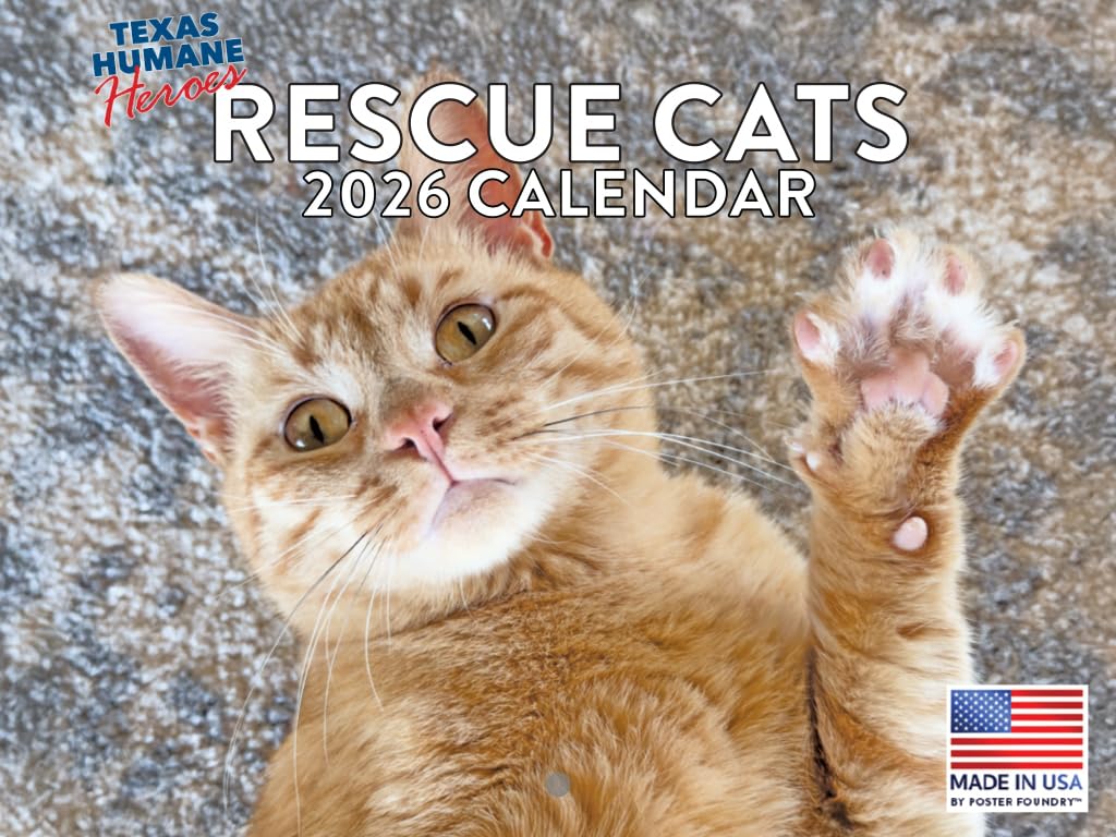 Rescue Cats カレンダー 2026年 壁