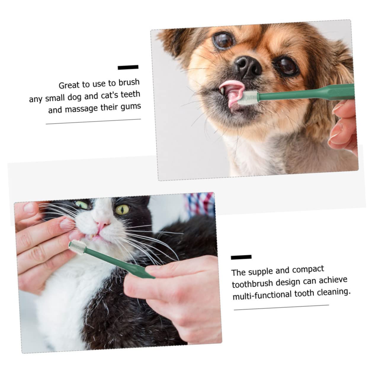 Sosoport 12pezzi Spazzolino Da Denti Per Animali Domestici Di Spazzolini Per Cani e Gatti Design Ergonomico Con Manico Antiscivolo Igiene Orale Completa Per Cuccioli e Gattini