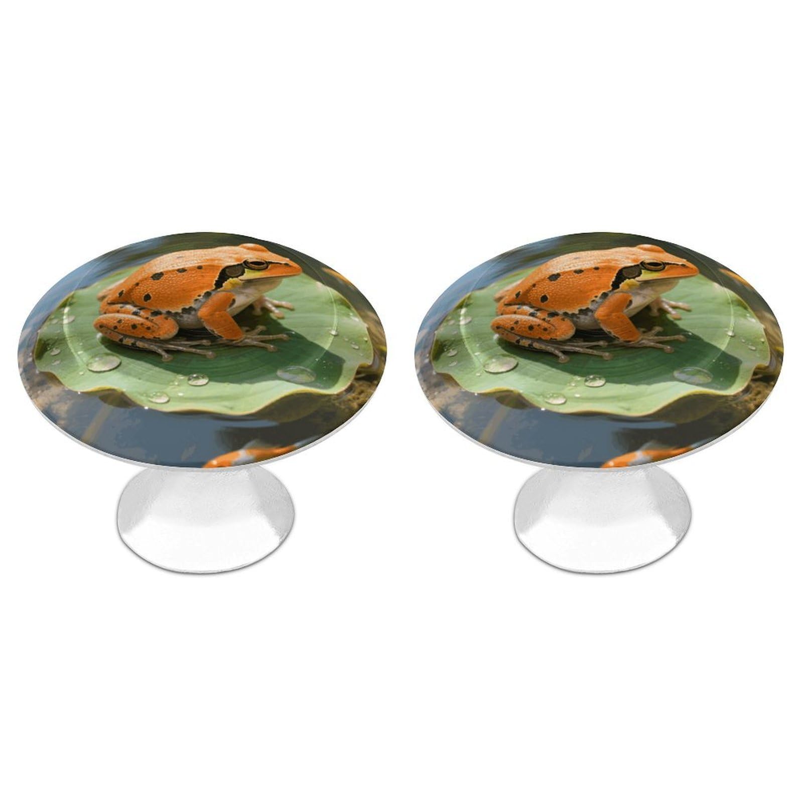 Maccbn Style-2 2 Pack 1.1" Round Orange Frog Drawer Knob Stainless Steel Kitchen Cabinet Knob Pulls With Screws Hardware Decorative Handles Knobs For Dresser Cupboard Closet Door Wardrobe Easy Install