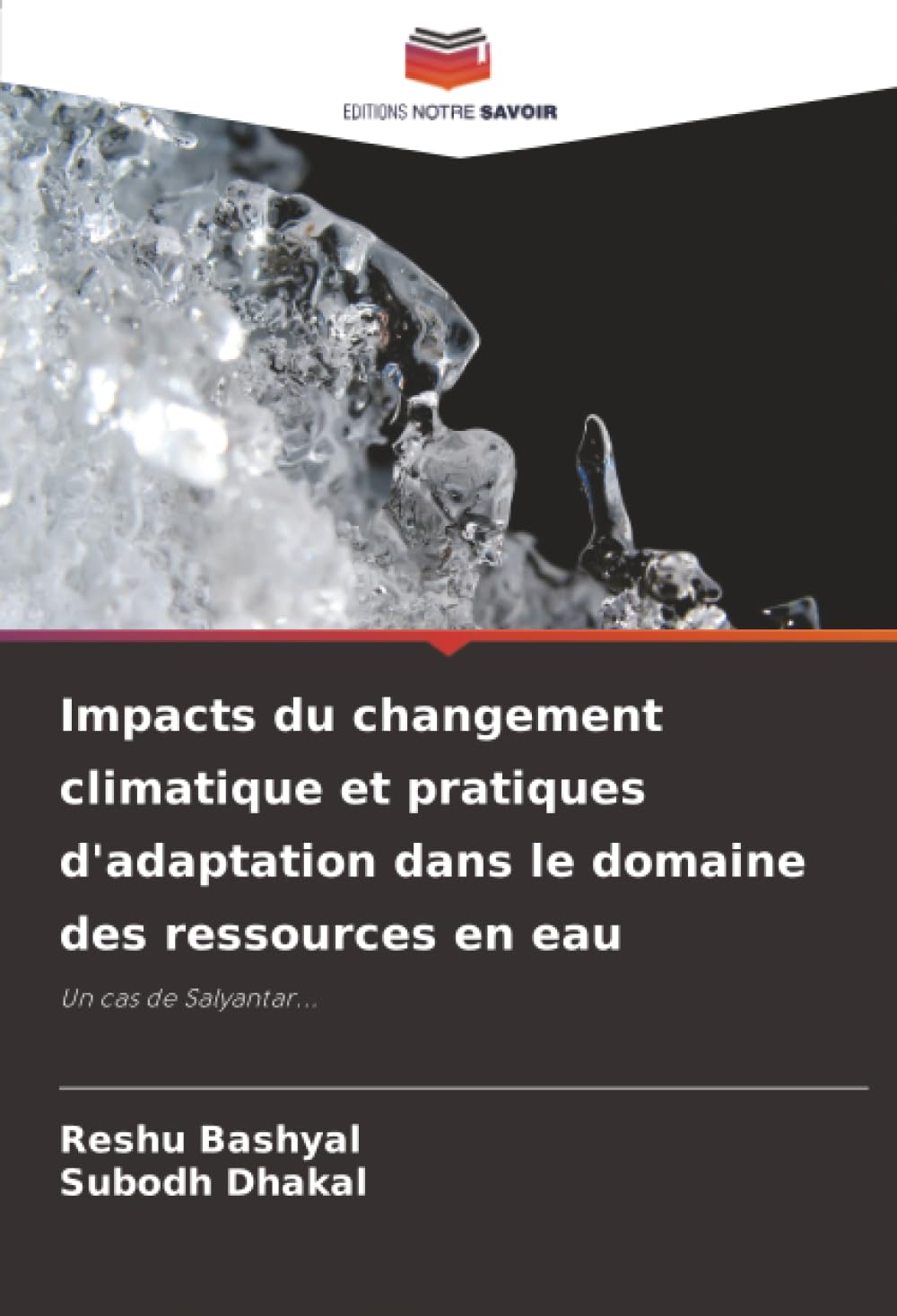 Impacts du changement climatique et pratiques d'adaptation dans le domaine des ressources en eau: Un cas de Salyantar...