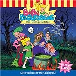 Der Hexengeburtstag (Bibi Blocksberg 49)