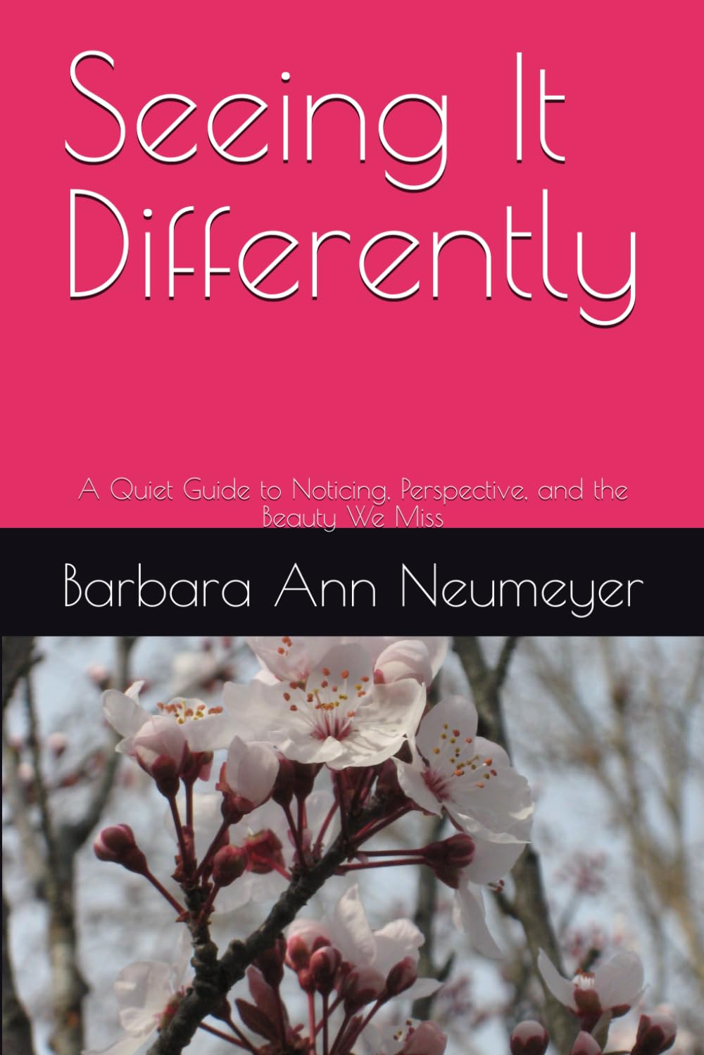 Seeing It Differently: A Quiet Guide to Noticing, Perspective, and the Beauty We Miss