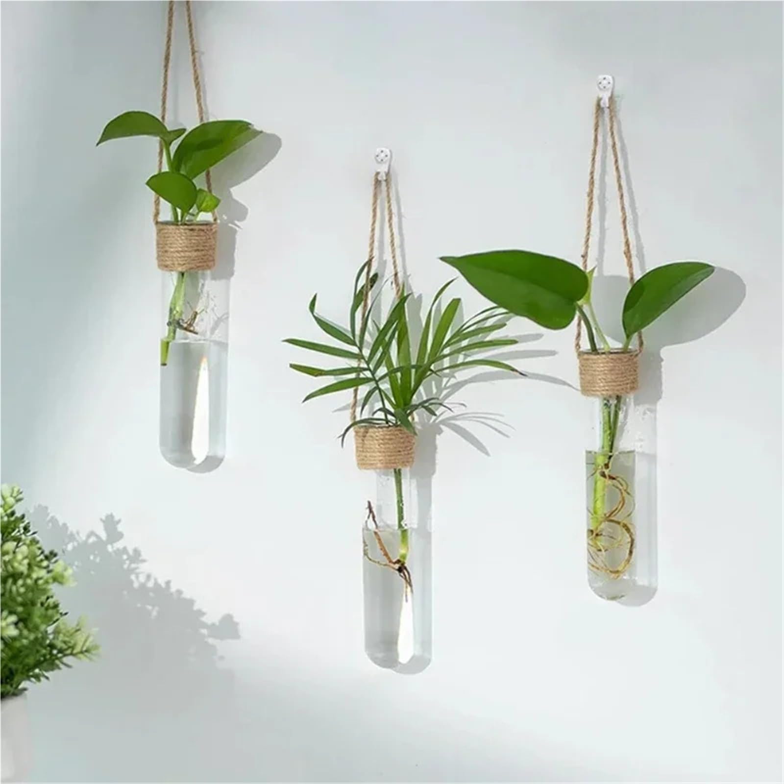 Glas Hydroponik Vase 4 Stück Wand-Glasbehälter-Vasen for Hydrokultur-Pflanzenanbau, Reagenzglas, hängende Blumentöpfe for Hausgarten-Dekoration