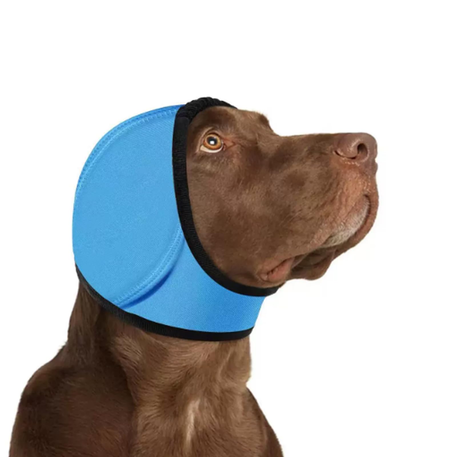 1-Piece Dog Ear Muffs Noise Protection, Size L, Lake Blue，Dog Ear Muffs