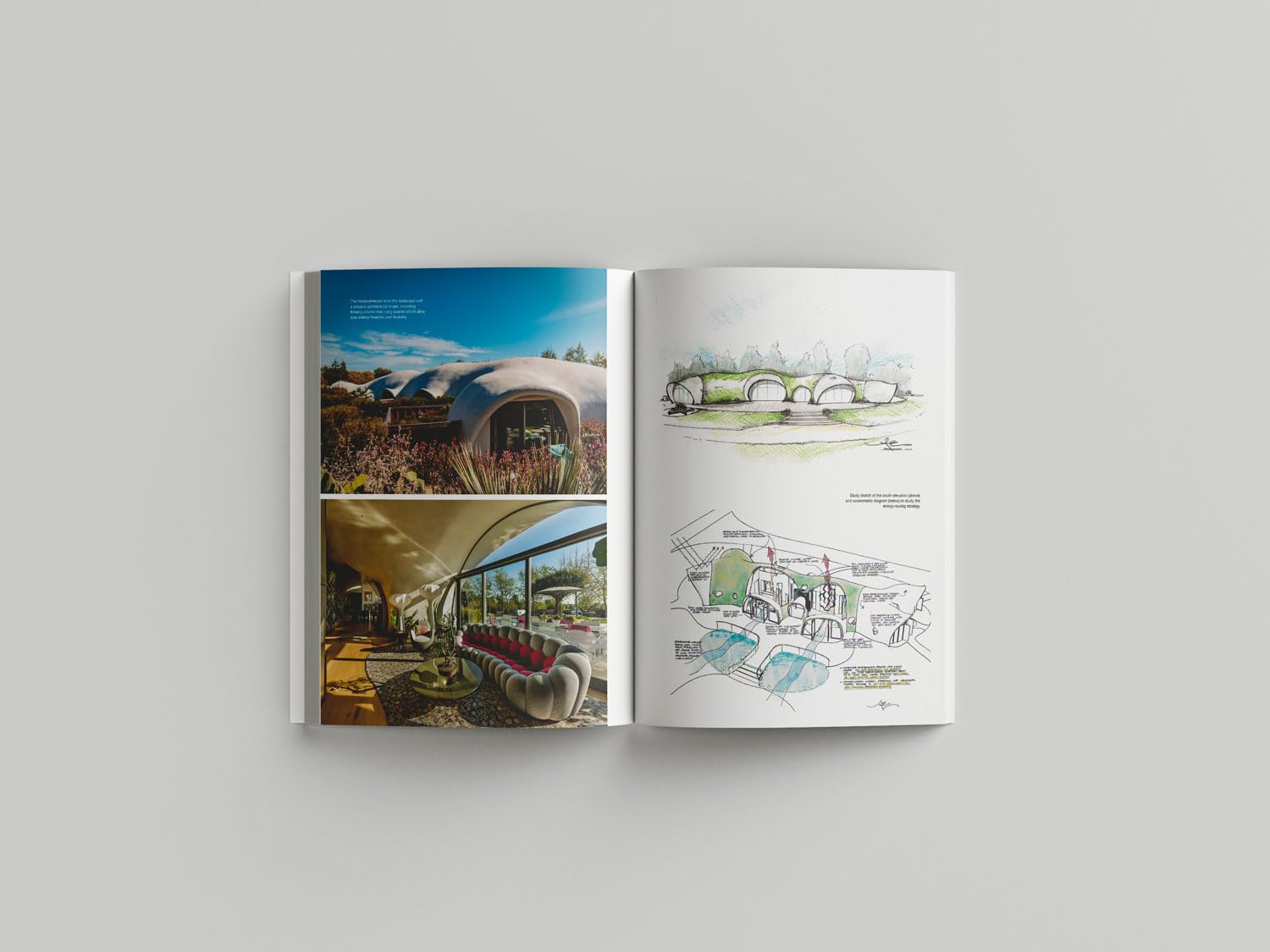 Dante Bini. The autobiography of an inventor
