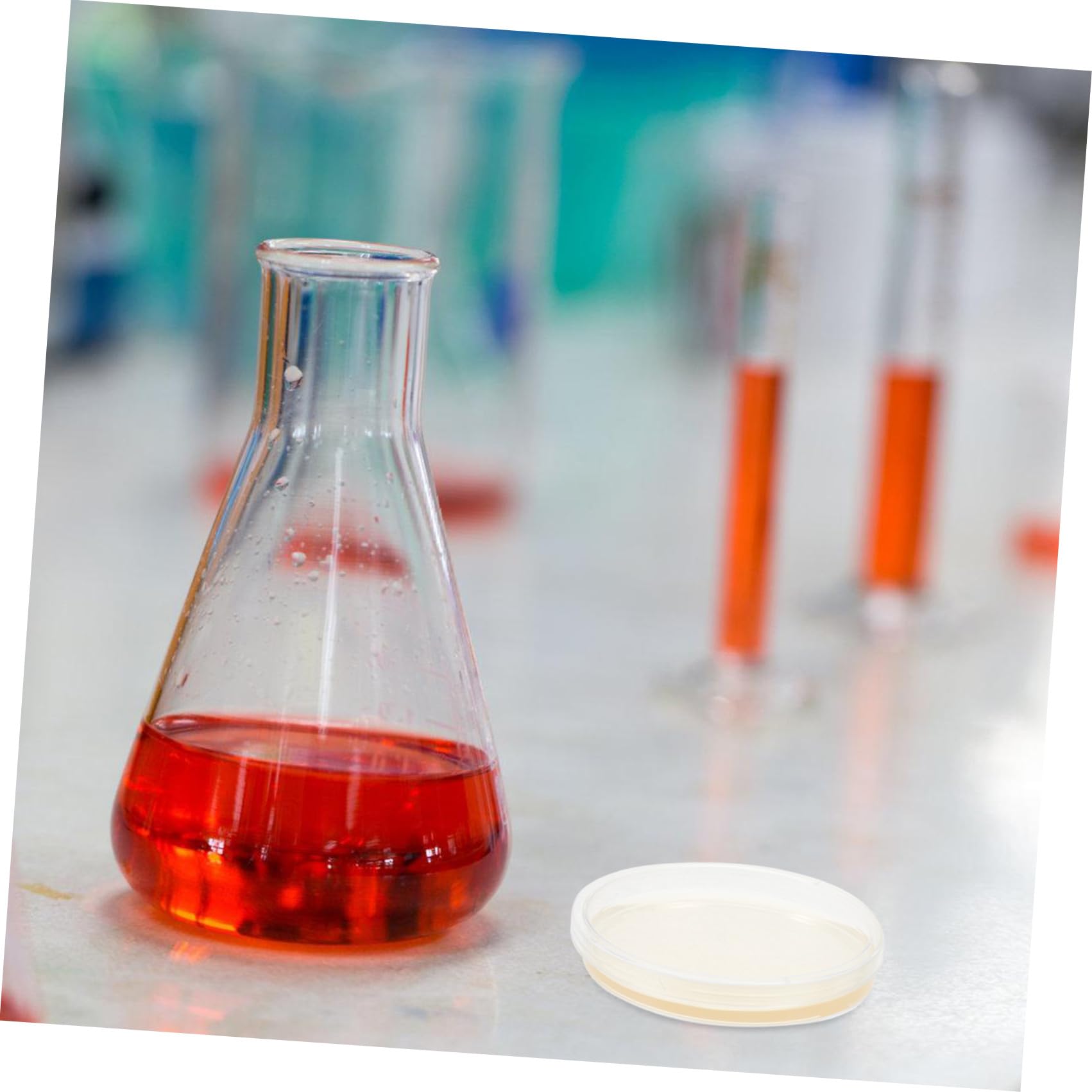 HEMOTON 20 Pezzi Piastre di Petri Agar Nutritivo Preprefatto 9 Cm Rotonde in Plastica Ps per Esperimenti Scientifici di Laboratorio e Coltivazione di Funghi