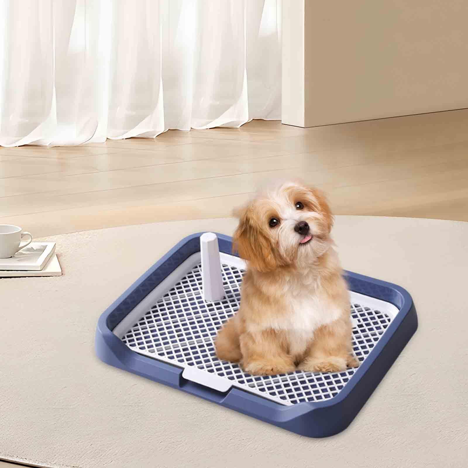 Plateau d'apprentissage de La Propreté pour Chien, Urinoir Portable, 46 X 35 X 5 Cm, Porte-Tapis, Bleu