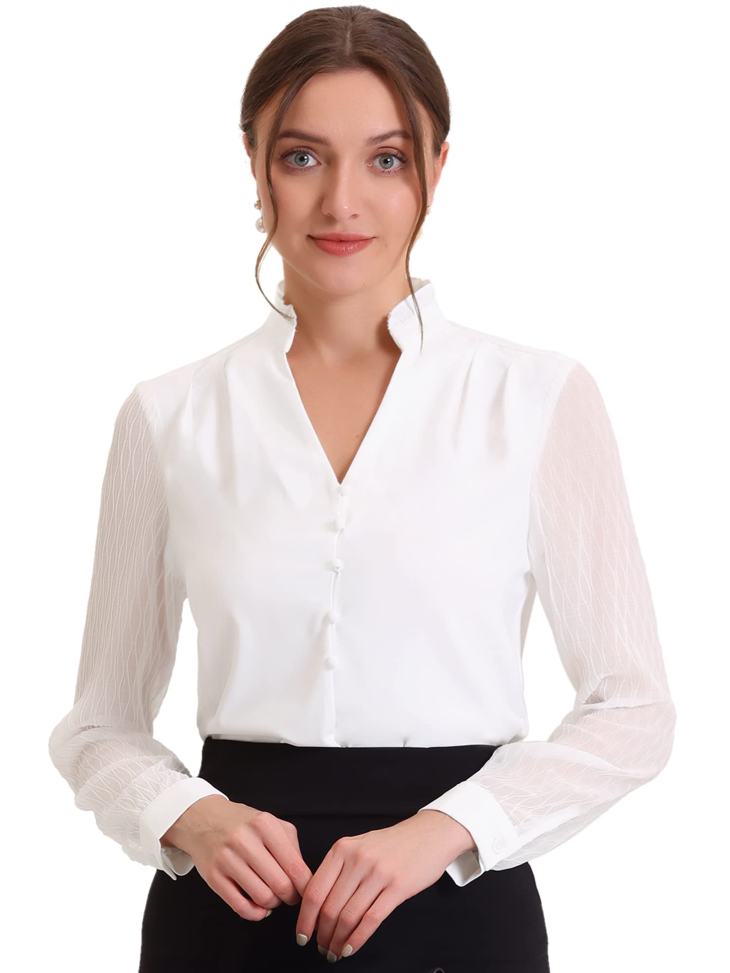 Allegra KWomen's Business Office Blouse Top Ruffle V Neck Button Decor Sheer Long Sleeve Work Shirt