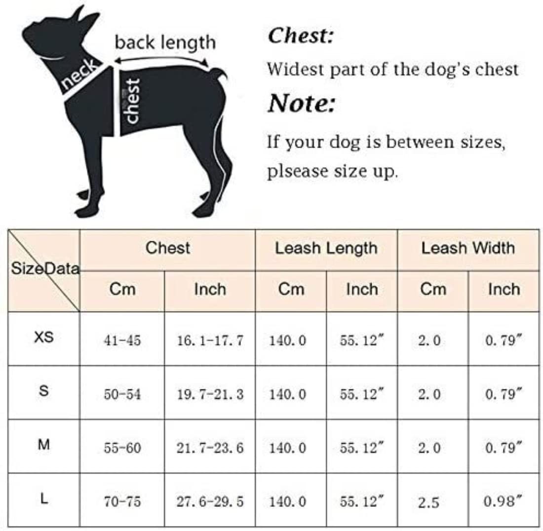 Correa Perro Arnés De Malla De Nailon Transpirable para Perros, Arnés Y Correa Ajustables Reflectantes para Perros, Correa para Mascotas Correa Perro Suave(Blue,50-54cm)