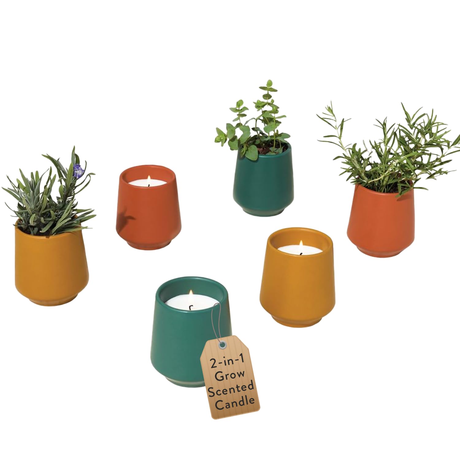 Modern Sprout Rooted Candle (Pack of 3) - 2 in 1 Scented Candles with Seeds That Grows into Plants - 6 oz Soy Candle with 42 hr Burn time in Matte