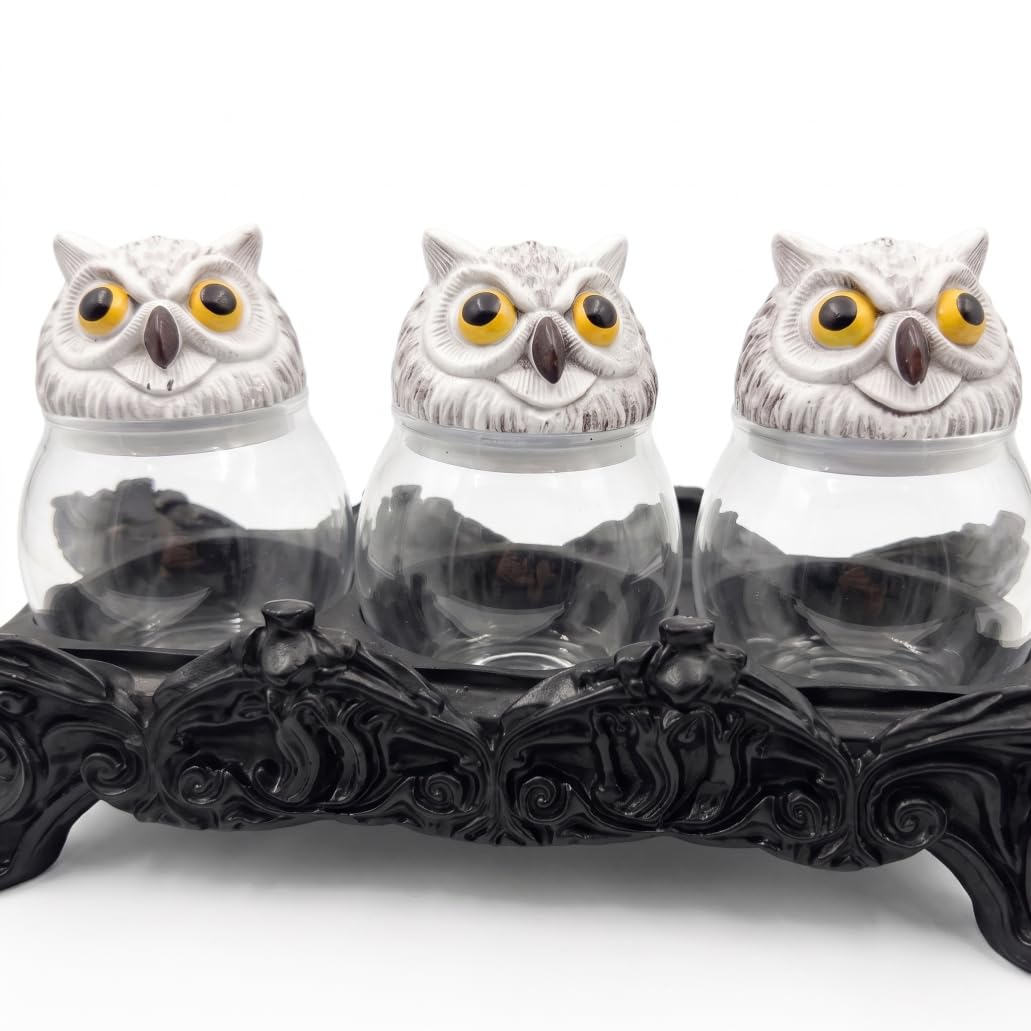 DAGLLGEW Apothecary Jars with Lids, Seasoning Containers - Handcrafted Witchy Owl Design, Clear Glass Jar With Carved Resin Base, Black