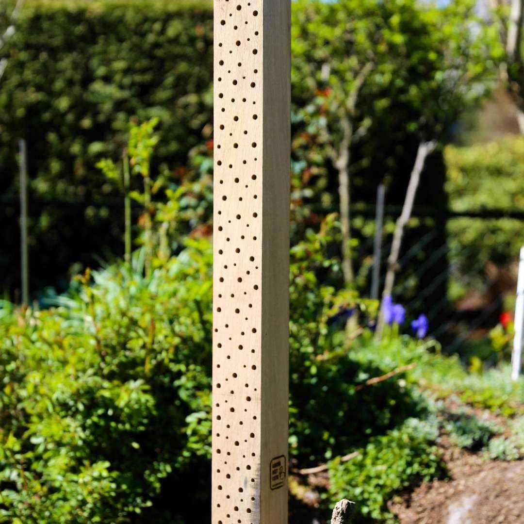 Arco per insetti con api selvatici, legno di quercia massiccio, alberghi per api selvatiche, nido d'ape (75 cm)