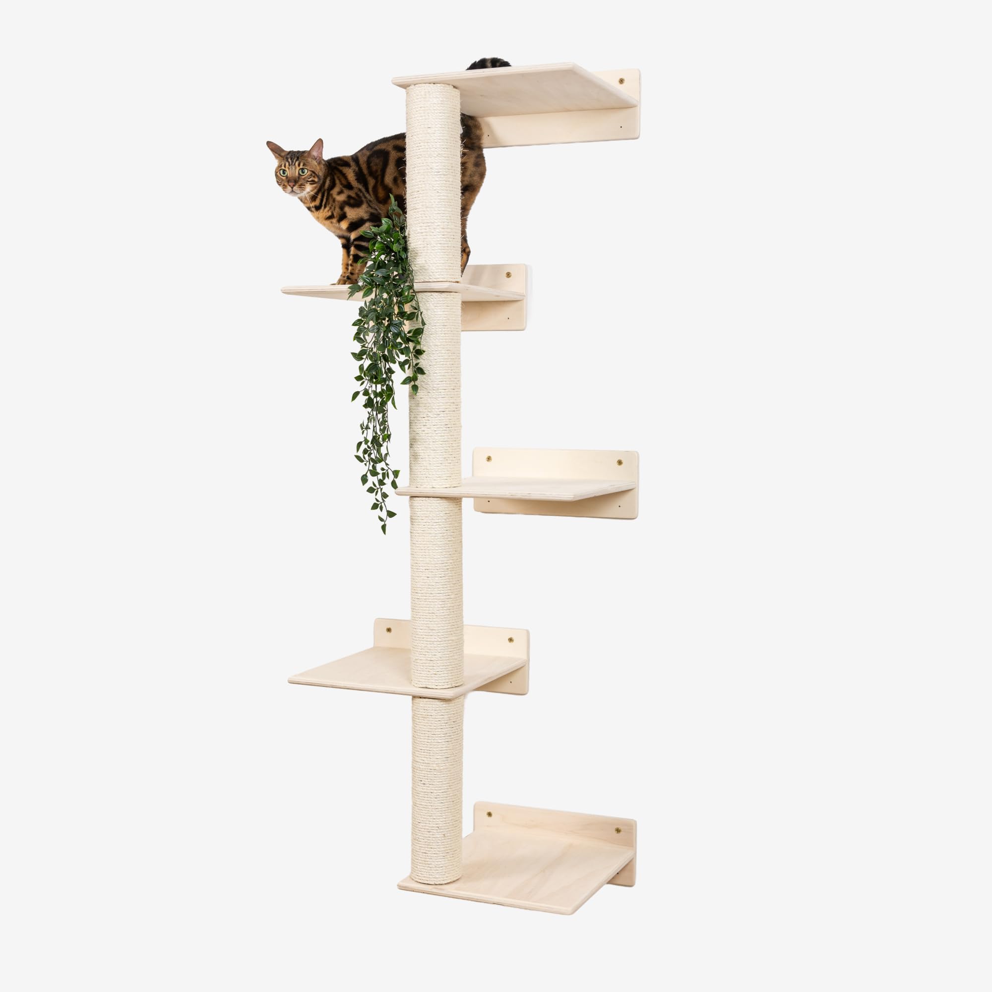 Albero Tiragraffi per Gatti in Legno D'abete PEFC Fatto a Mano, con Ampie Mensole per Gatti, Tiragraffi Verticale in Corda Sisal per Arrampicare, Graffiare, Giocare, Fino a 20kg, Percorsopergatti