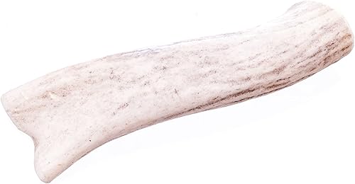 Big Sky Antler Masticar, pequeño 1 unidad