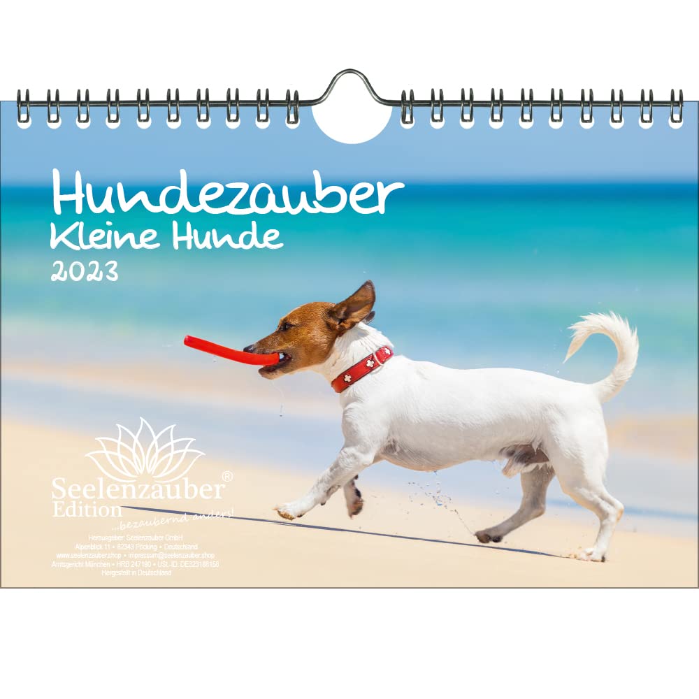 Hundezauber Small Dogs DIN A5 Wall Calendar for 2023 Puppies and Small Dogs Seelenzauber