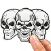 2 Pcs Cool Skull Delicate Embroidered Patches, Cute Embroidery Patches, Iron On Patches, Sew On Applique Patch,Cool Patches for Men, Women, Kids