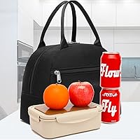 Vista 8 de FlowFly Lonchera térmica y hielera, organizador de mano para mujereshombres, color negro