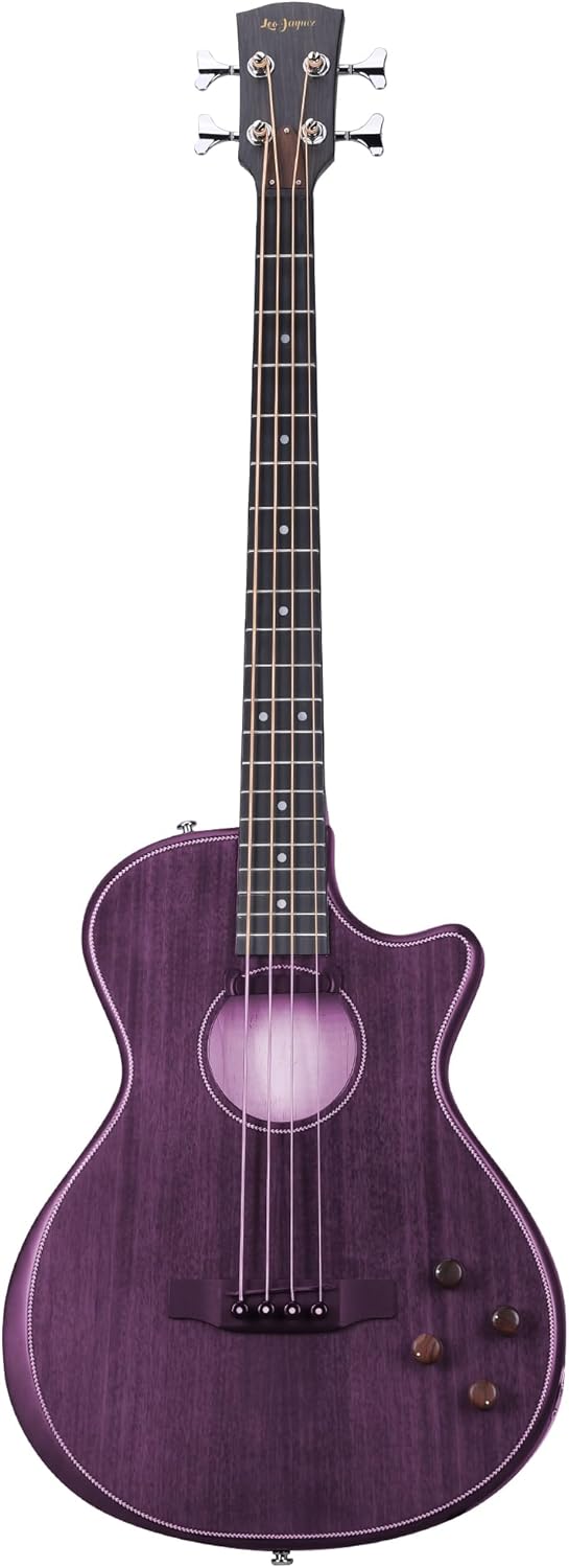 LEO JAYMZ Acoustic Electric Bass Guitar, 5 String, Mahogany Body and Top, Nickel Strings, Warm Bass Tone (Mahogany)