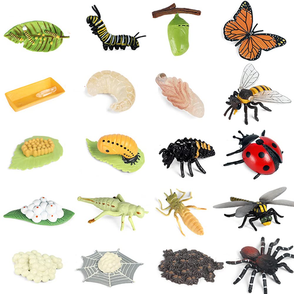 Buy 20 PCS Life Cycle Figurines of Butterfly Spider Bee Ladybug