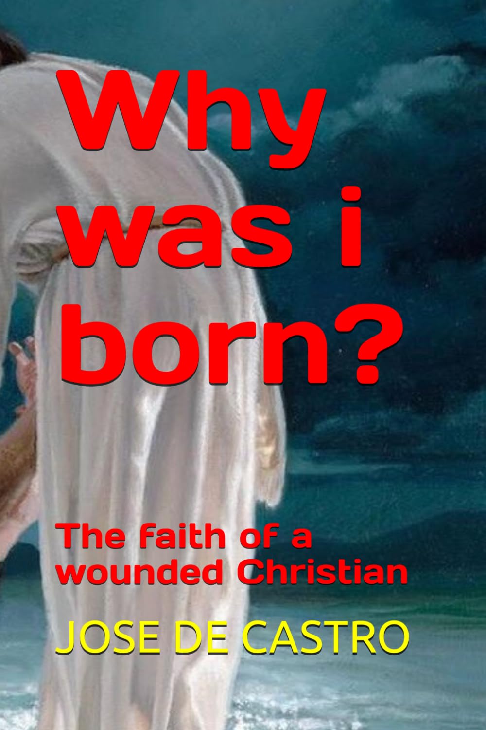 Why was I born?: The faith of a wounded Christian