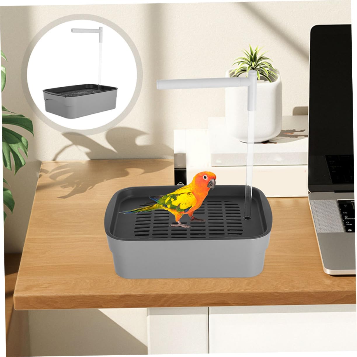 SUPVOX Bañera Automática para Pájaros de Interior Bañera para Loros Ducha Contenedor de Baño Automático para Periquitos y Cacatúas para Mascotas Higiene de Loros Jaulas