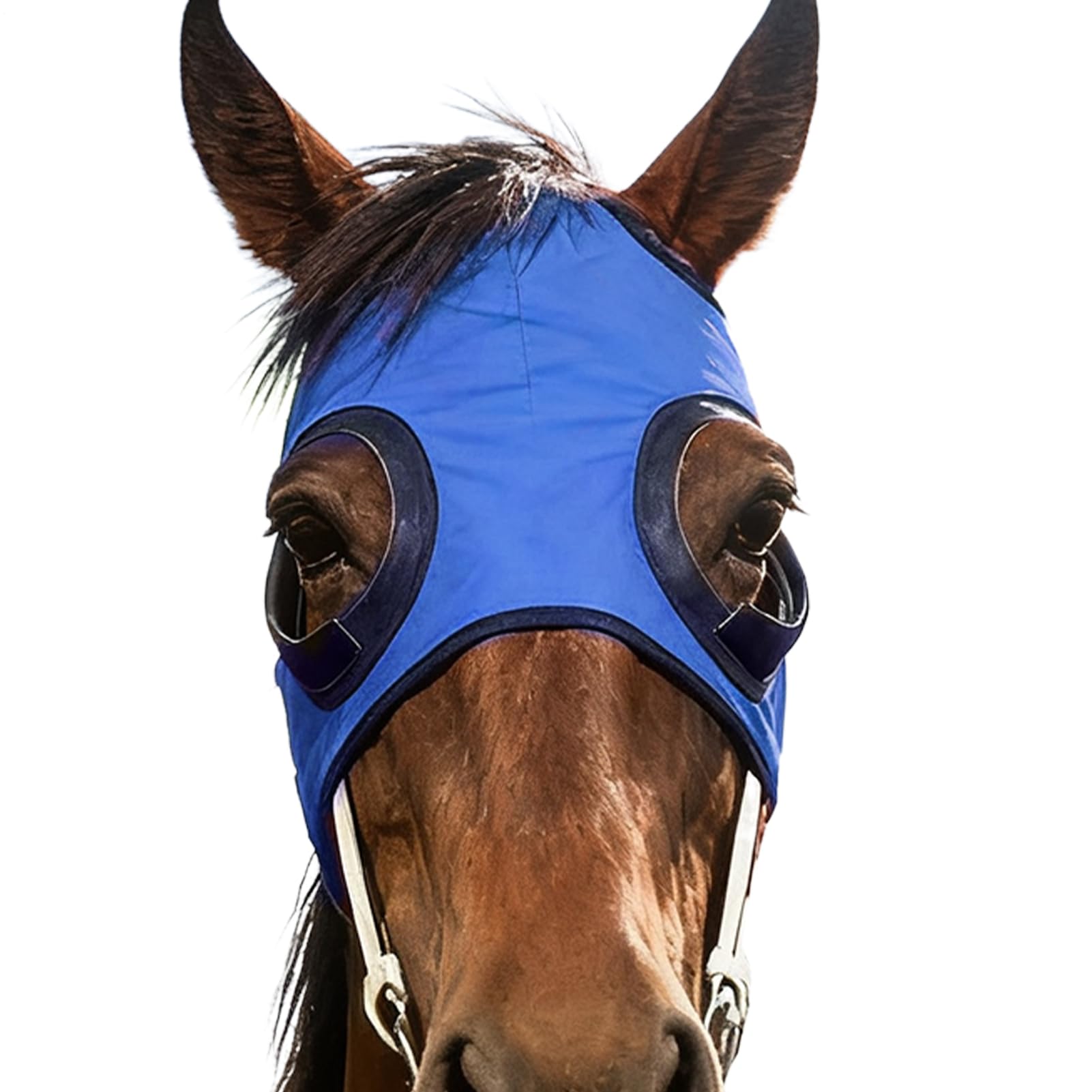 Paracolpi Oculari Per | Parabutte In Mesh Traspirante Con Flusso D'Aria - Paracolpi Per | Per Stalla Equitazione Competizione Allenamento Sport Equestri
